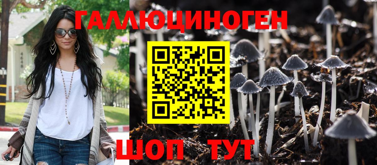 Галлюциногенные грибы Magic Shrooms  Вход с VPN  Нальчик  Псилоцибиновые грибы Cubensis 